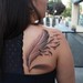 Tattoos - feather tattoo - 50095